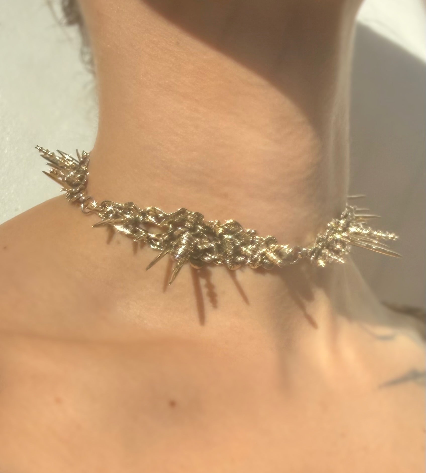 Spiky 1